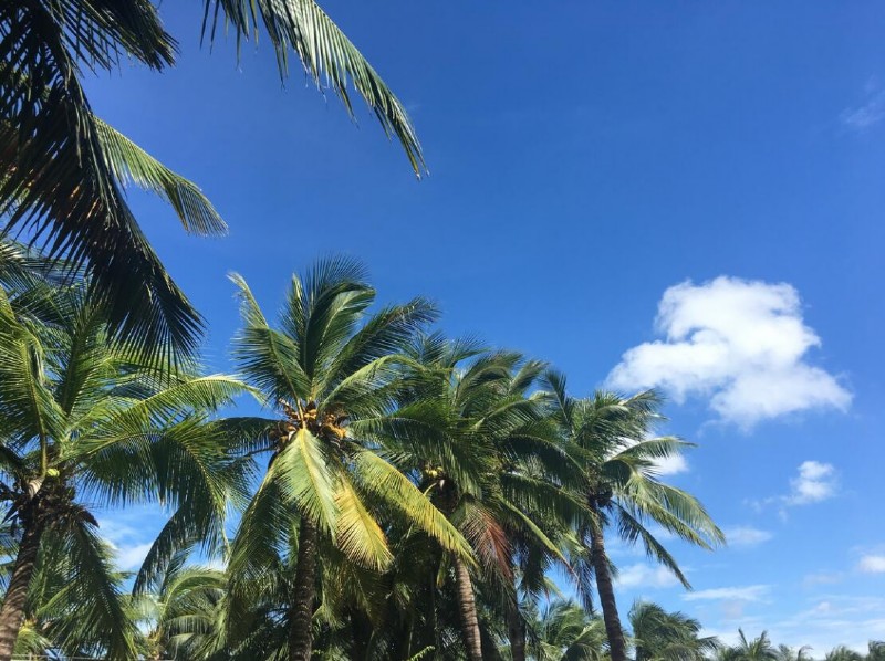 2017容聲集成吊頂優秀經銷商三亞游