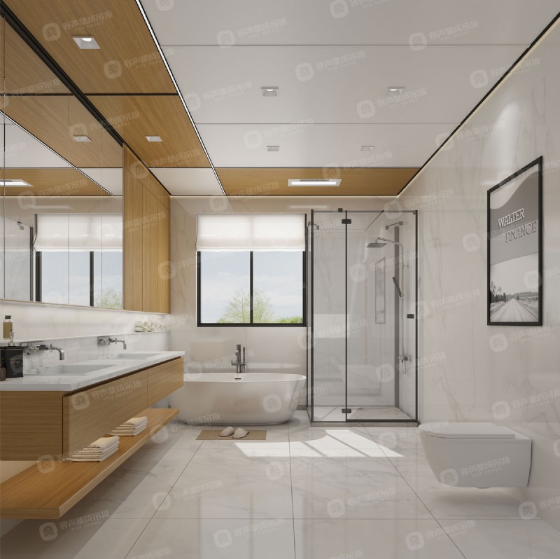 容聲集成吊頂大板現代極簡衛浴效果圖