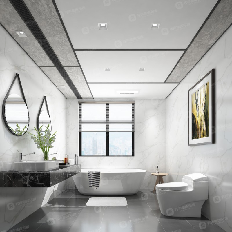 容聲集成吊頂無膠大板效果圖